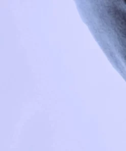 Condor + KPP Notes Collection Socks