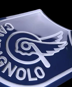 Campagnolo Tin Plate Shield