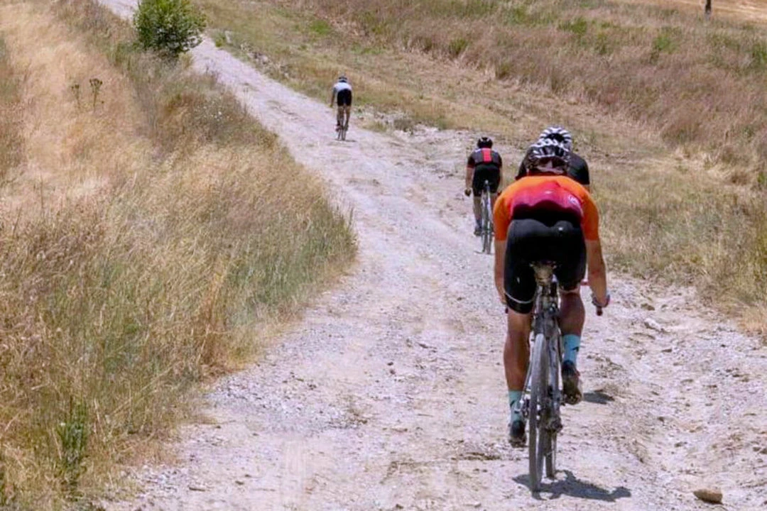 Wheels, Rims & Hubs Campagnolo Levante Carbon Disc Wheelset 14 Wheels, Rims & Hubs Campagnolo Levante Carbon Disc Wheelset