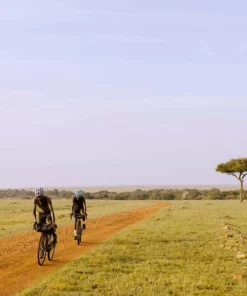 PEdAL ED PEdALED Odyssey Adventure Cargo Jersey